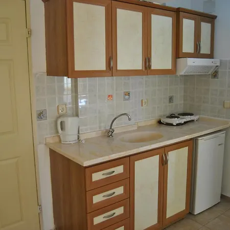 Hotel Club Ekinci Palace 3*