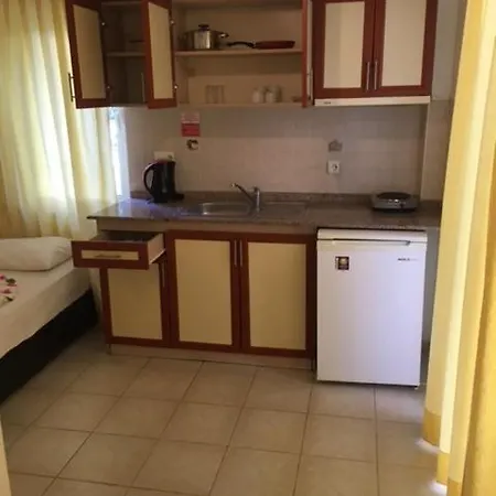 Club Ekinci Palace 3* Muğla